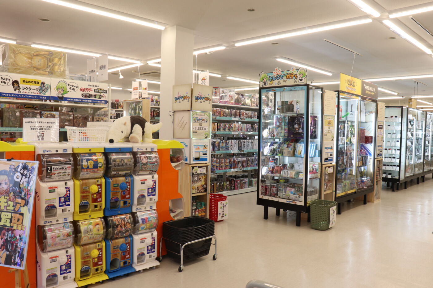 圧巻の品揃えと専門性に特化 新業態店グランドオープン | タウンみやざき