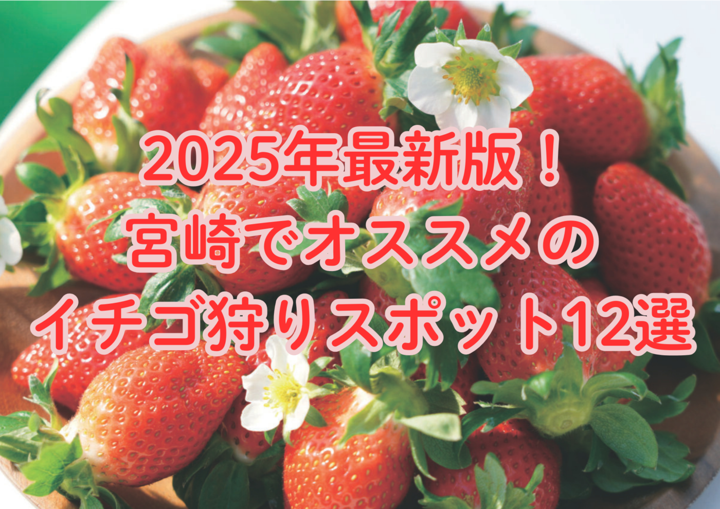いちご 狩り 宮崎